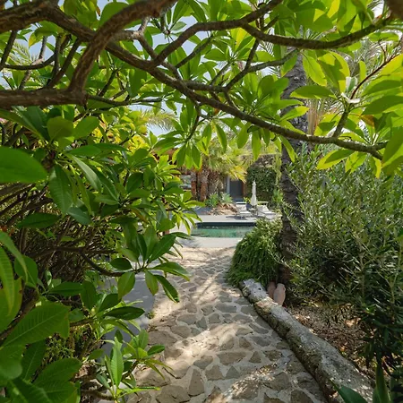 Bed & Breakfast Don Mario Five 5 Suites - Adults Only - No Restaurant - B & B 4*