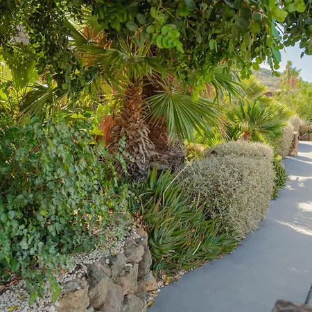 Bed & Breakfast Don Mario Adults Only Pantelleria